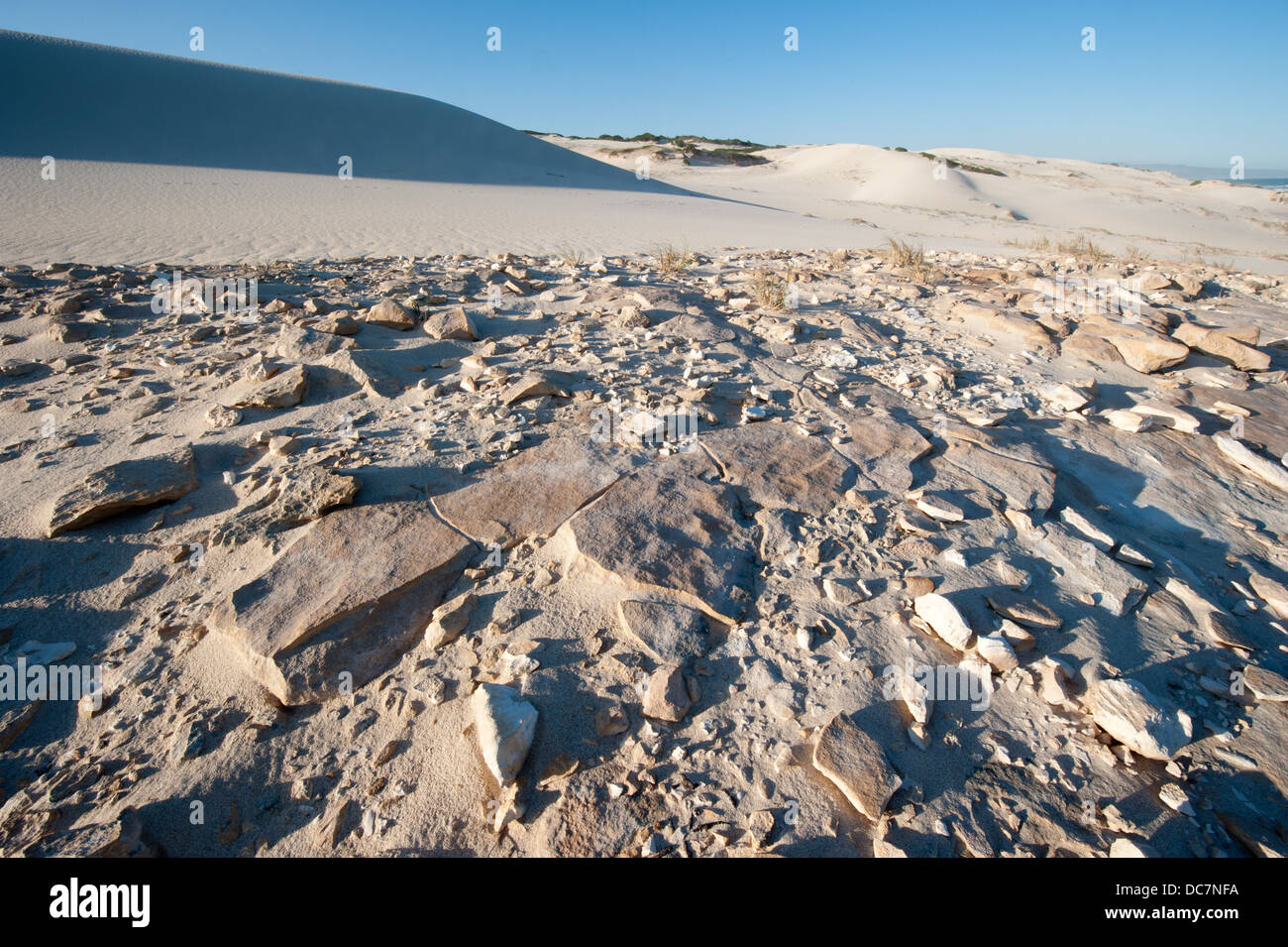 Dune, De Hoop Nature Reserve, Western Cape, South Africa Stock Photo