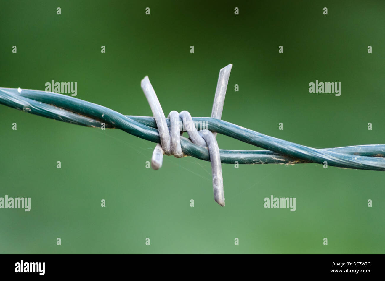 Strand of barbed wire with sharp jagged points for protection and to