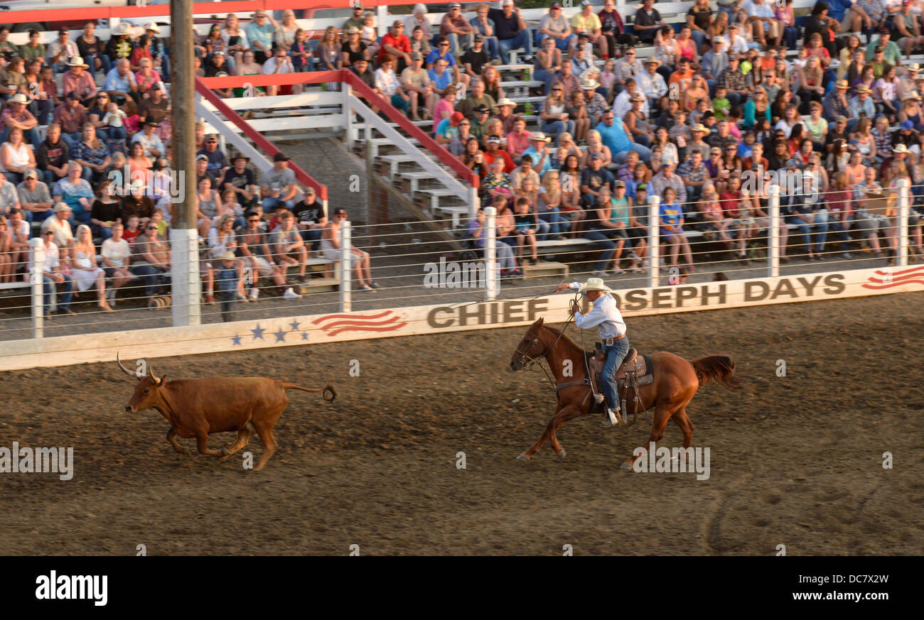 Steer roping event at the Chief Joseph Days Rodeo in Joseph, Oregon