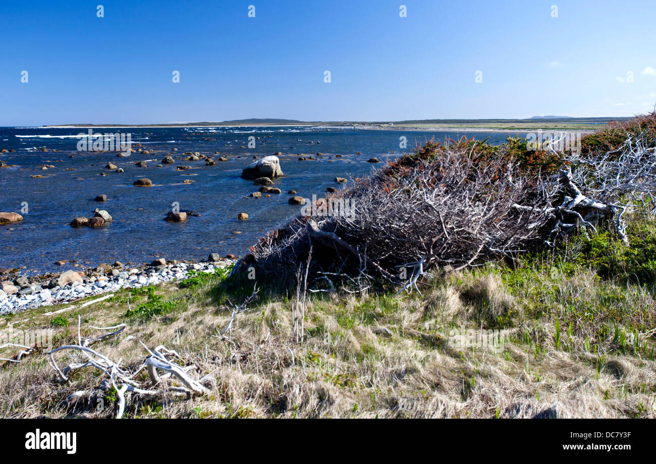 Seashore, Gulf of St. Lawrence, Northern Gros Morne National Park, UNESCO World Heritage Site, Newfoundland Stock Photo