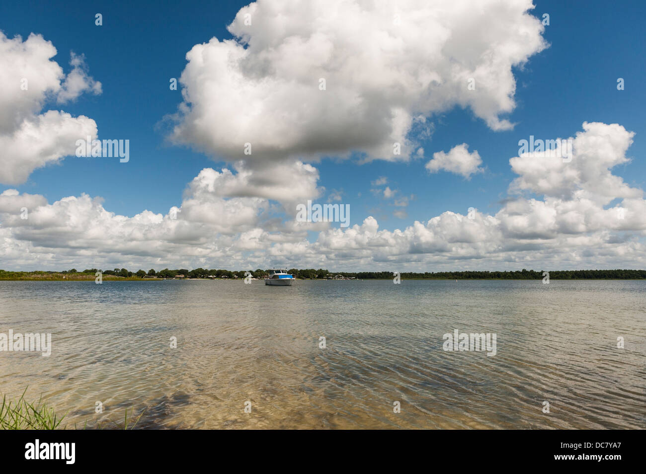 A scene from Lake Weir in Marion County Central Florida Stock Photo Alamy