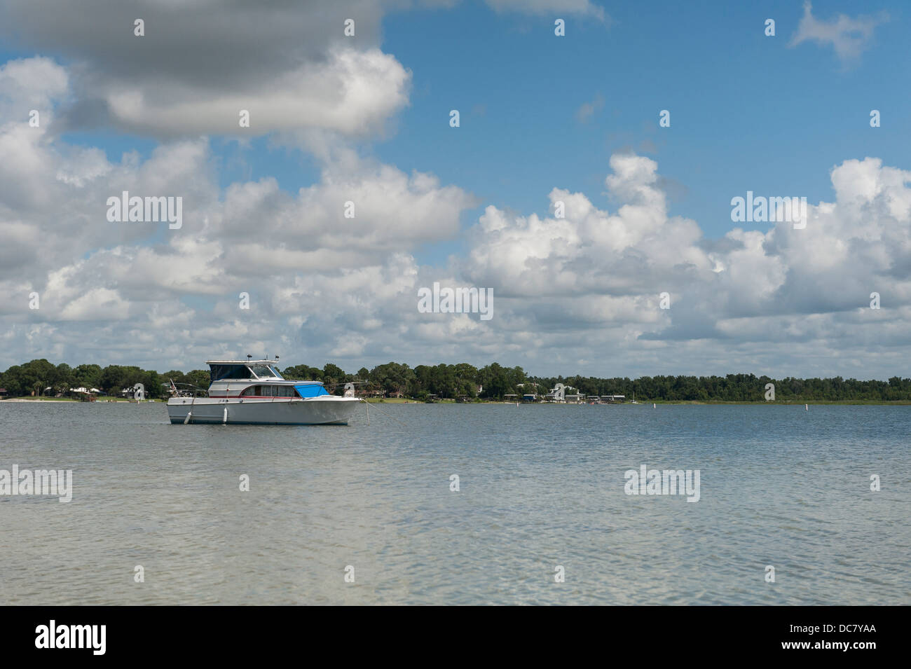 A scene from Lake Weir in Marion County Central Florida Stock Photo Alamy