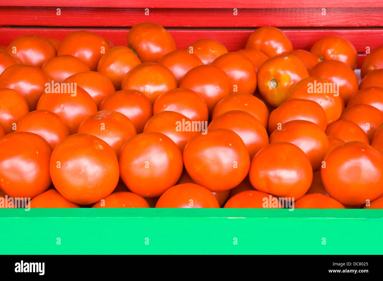 Neat rows of tomatoes at a farm stand Stock Photo