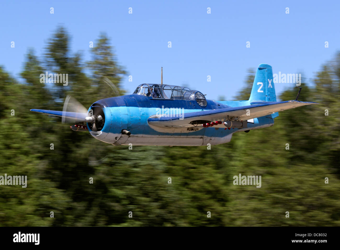 Grumman TBM-3 Avenger, bu85983, piloted by Chuck Wentworth in flight. Stock Photo