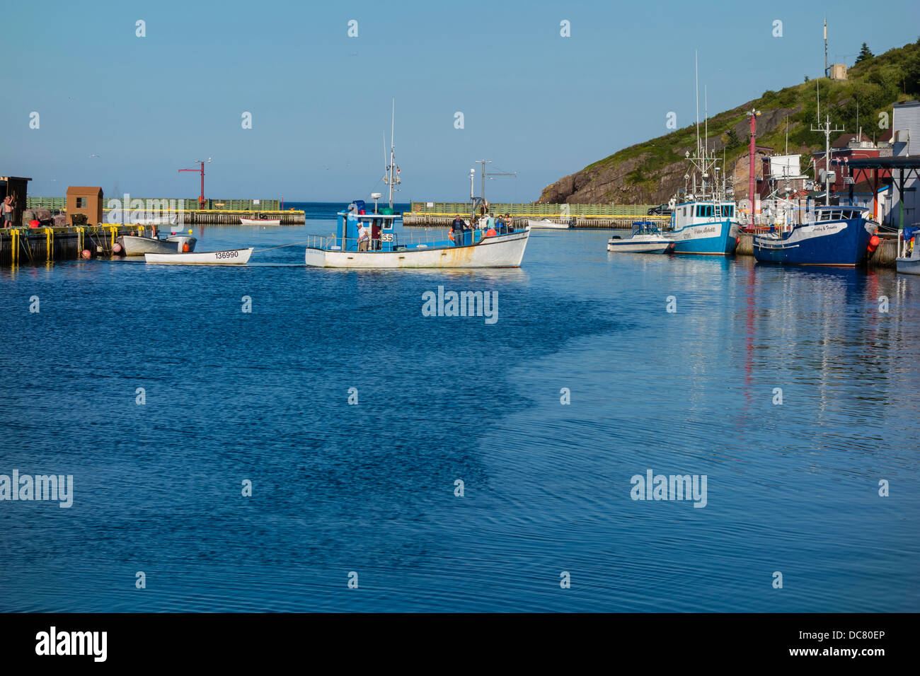 Petty harbor maddox cove hires stock photography and images Alamy