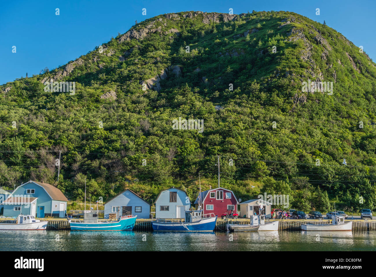 Petty harbor maddox cove hires stock photography and images Alamy