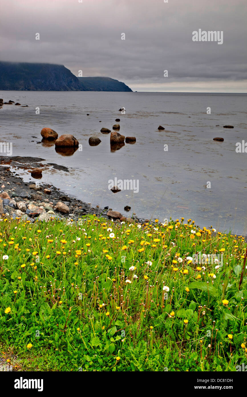 Rocky Harbour, Gros Morne National Park, UNESCO World Heritage Site, Newfoundland Stock Photo