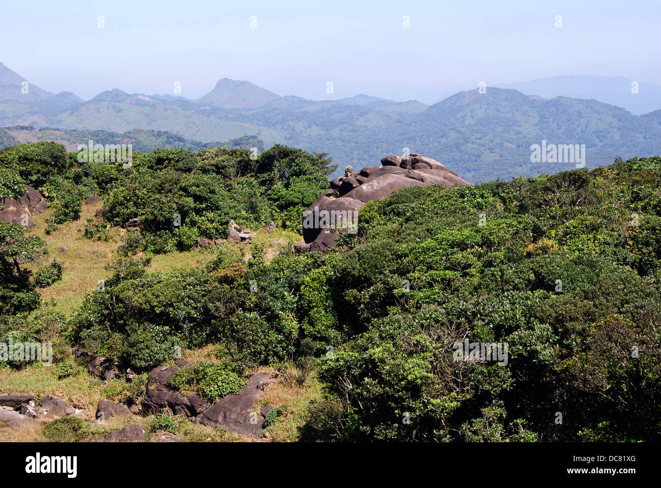 Tropical Forest Valley and Hilly Western Ghats Moutains View from Agasthyarkoodam Kerala India Stock Photo