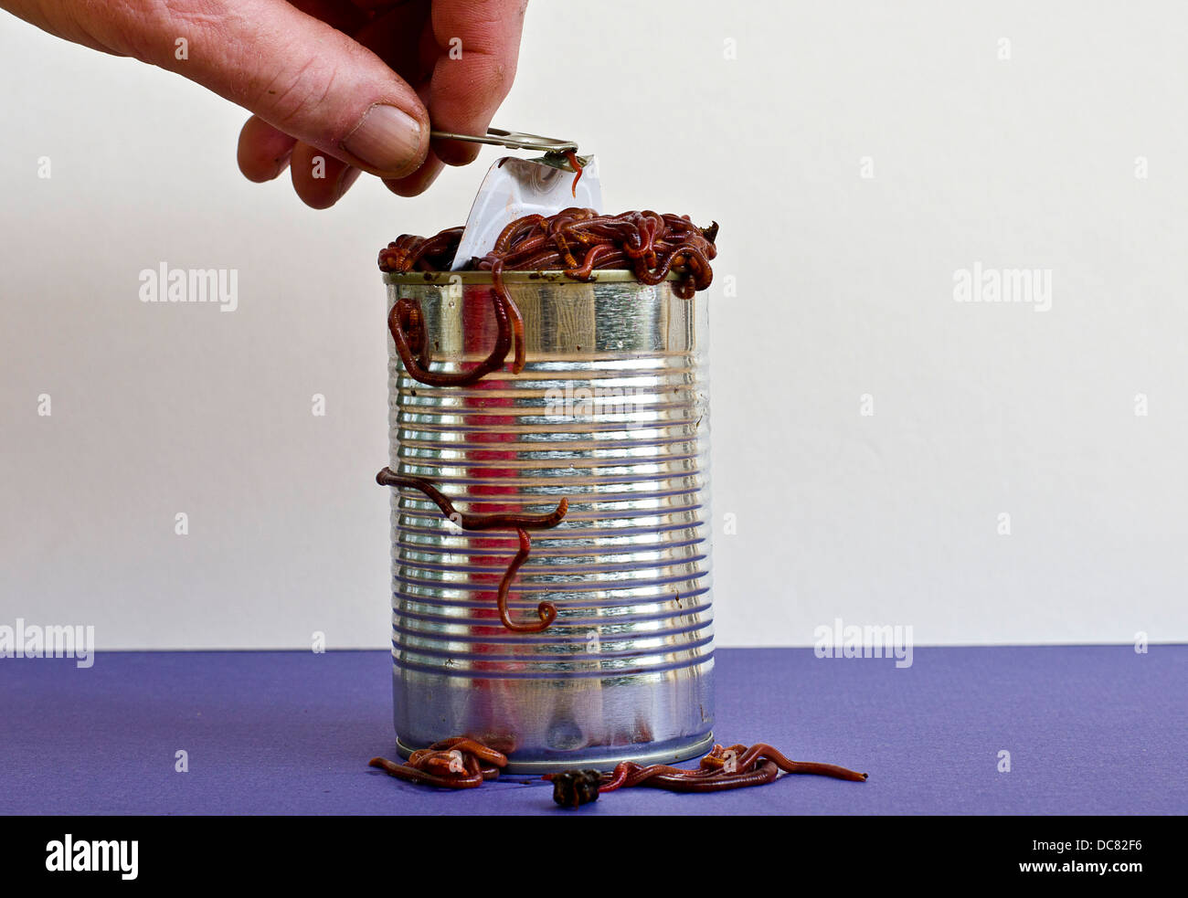 Can Of Worms High Resolution Stock Photography and Images Alamy