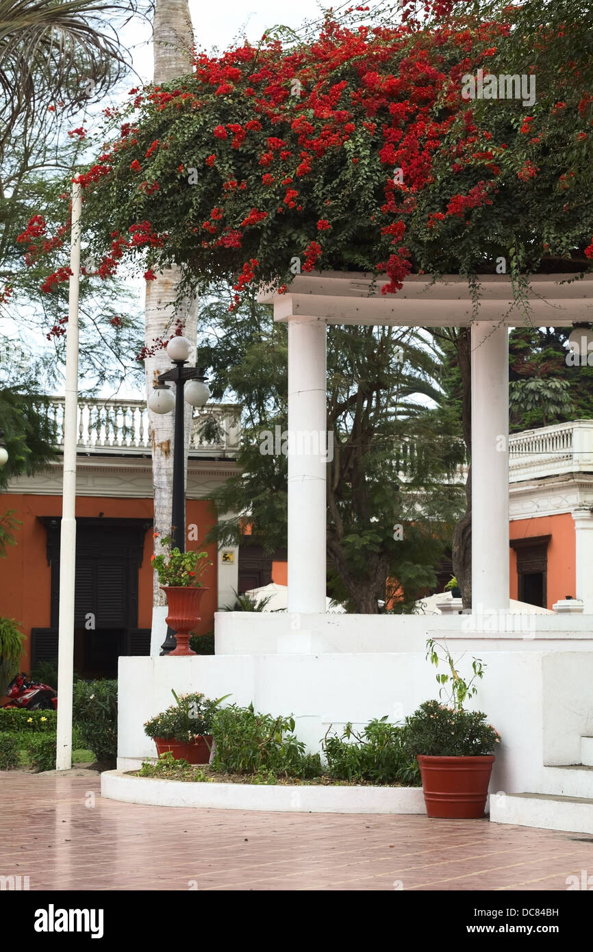 Permanent outdoor stage with columns covered by red Bougainvillea Stock Photo