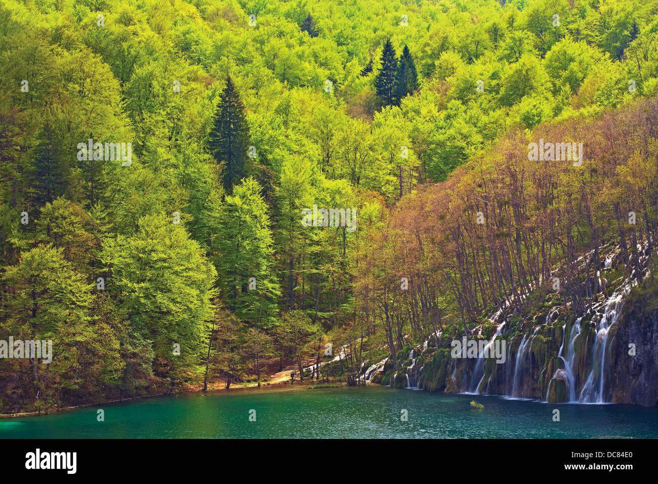 The national spring clean hi-res stock photography and images - Alamy