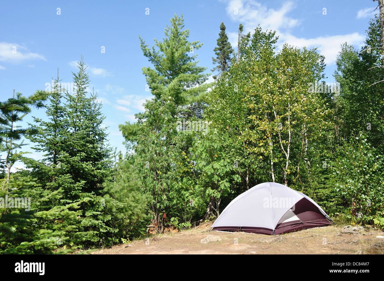 Tent in a woodland camping grounds, Minnesota, USA Stock Photo