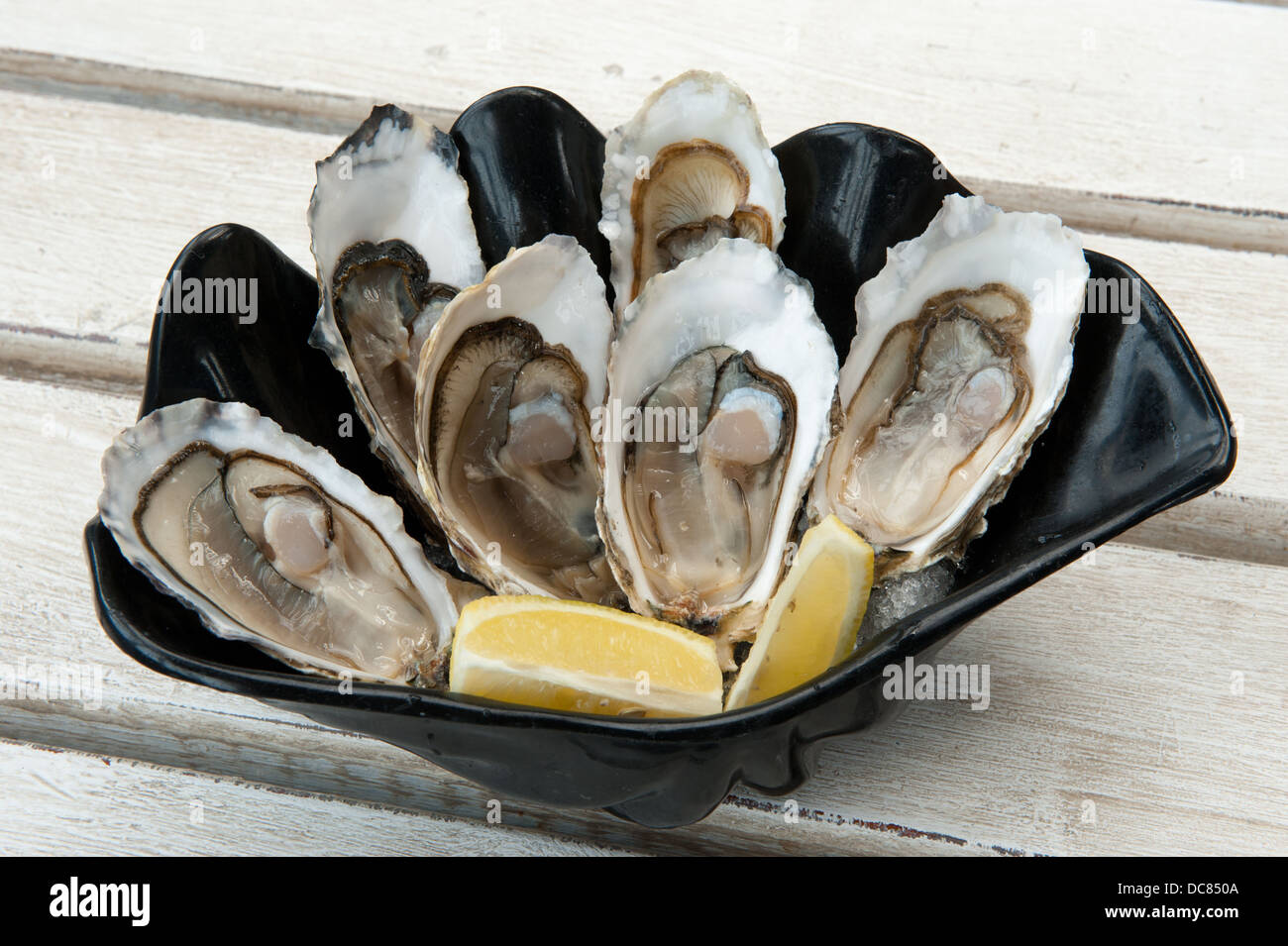 Oyster plate, Knysna waterfront, Knysna, Western Cape, South Africa Stock Photo