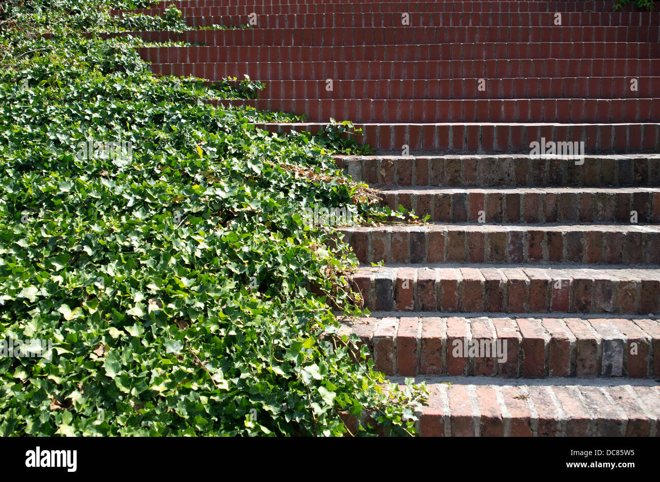 Wallpaper stairs hi-res stock photography and images - Alamy