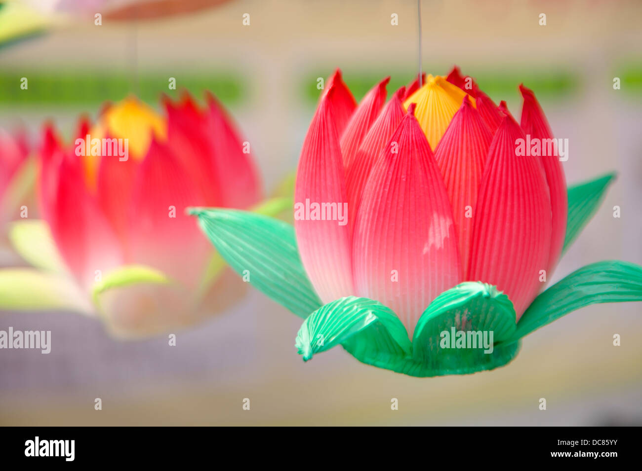 Lotus flower on sale paper lantern