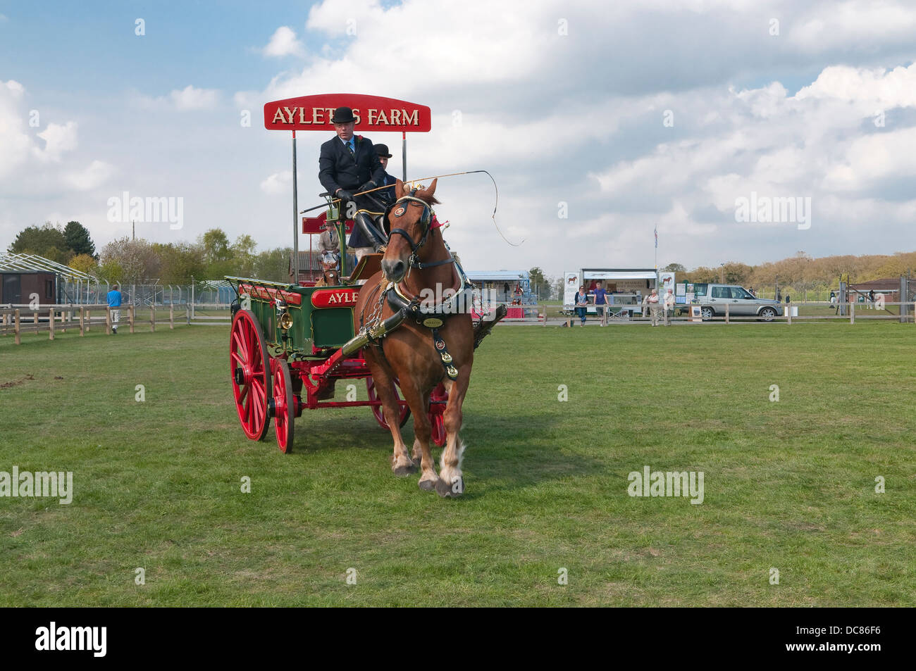 Suffolk Horse Show 2013 The Heavy Horse Turnouts. Ipswich Showgrounds