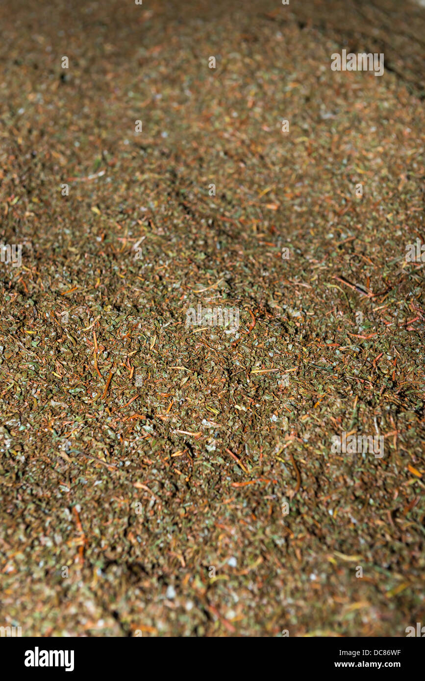 Crumbled up unsorted fresh green tea crop on tea factory for fermentation Stock Photo