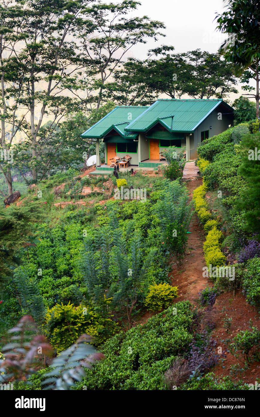 Rural house sri lanka hi-res stock photography and images - Alamy, image size:867x1390