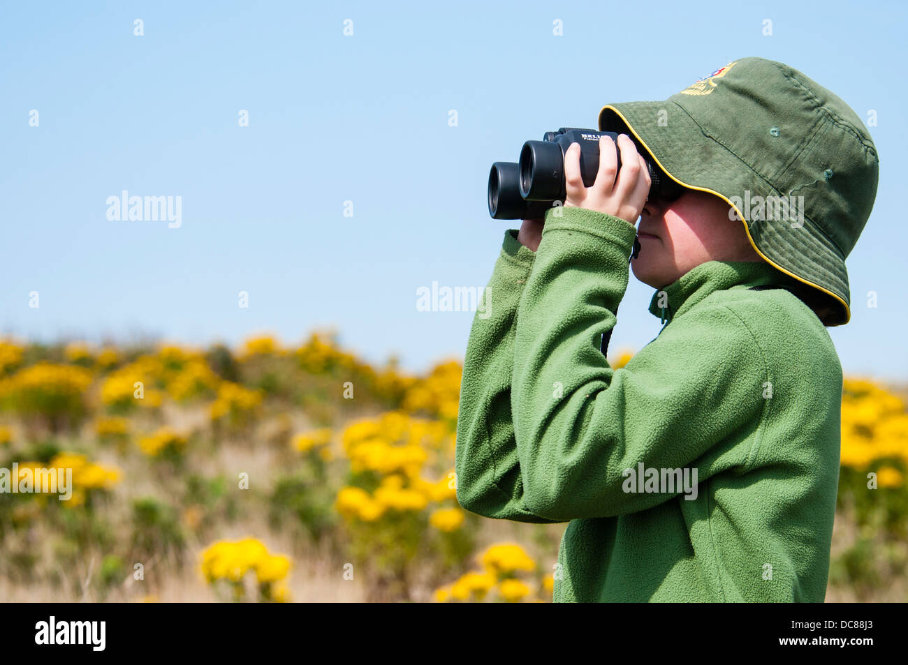 Young Boy Bird Spotting Stock Photo