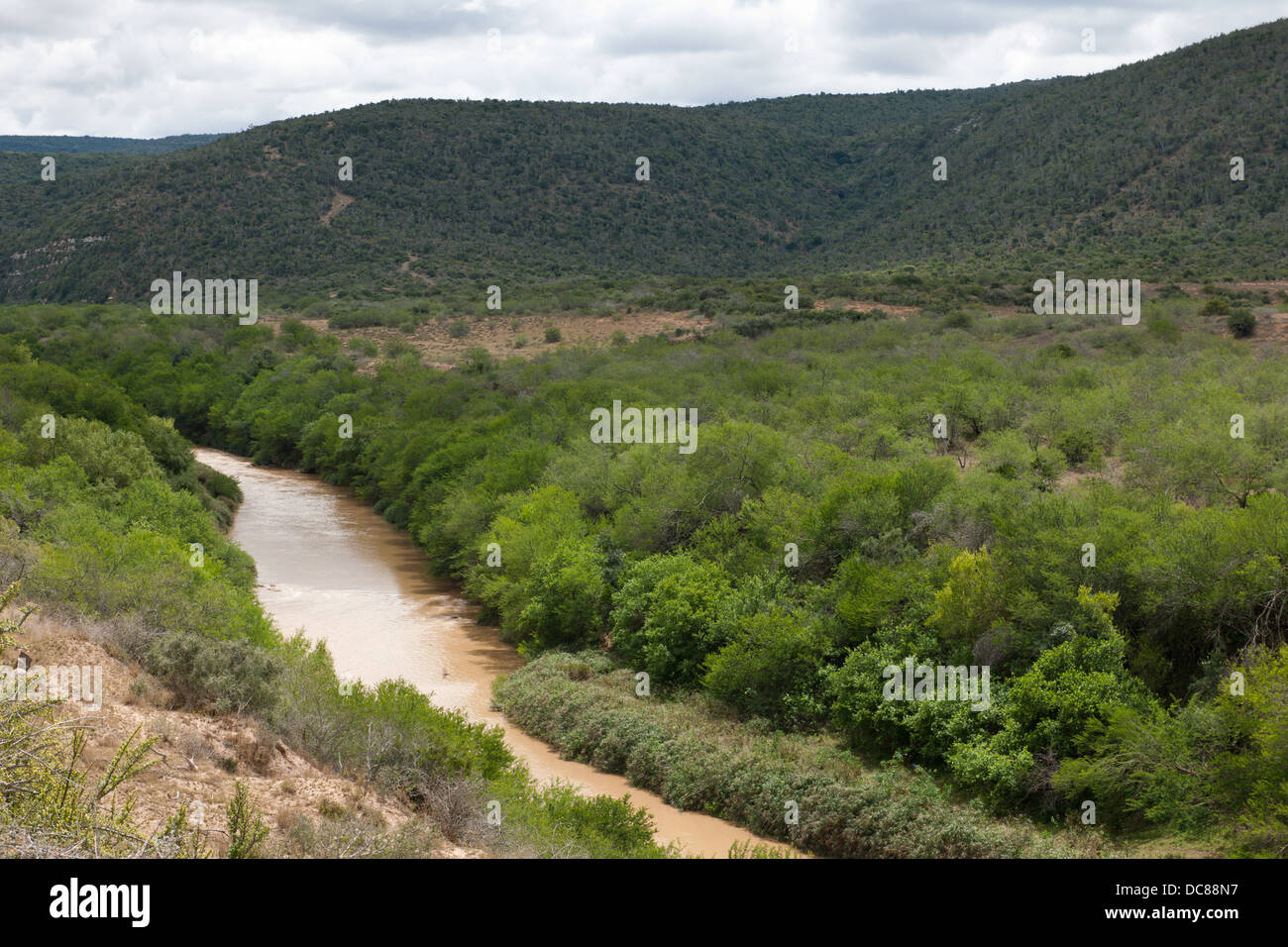 Great Fish River, Kwandwe Game Reserve, South Africa Stock Photo