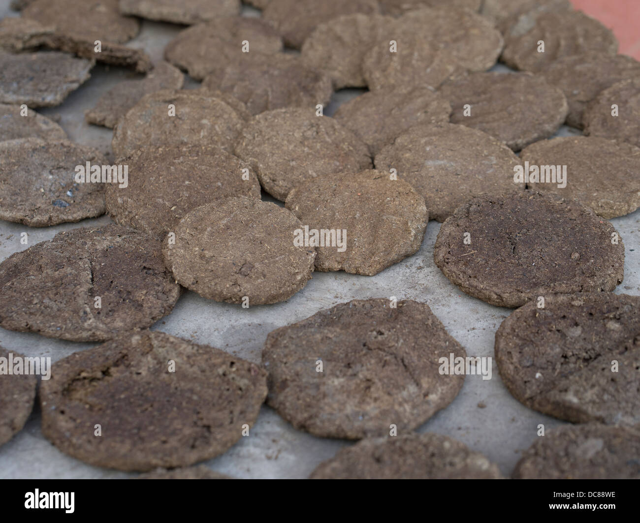 Animal dung fuel hi-res stock photography and images - Alamy Animal dung fuel hi-res stock photography and images - Alamy