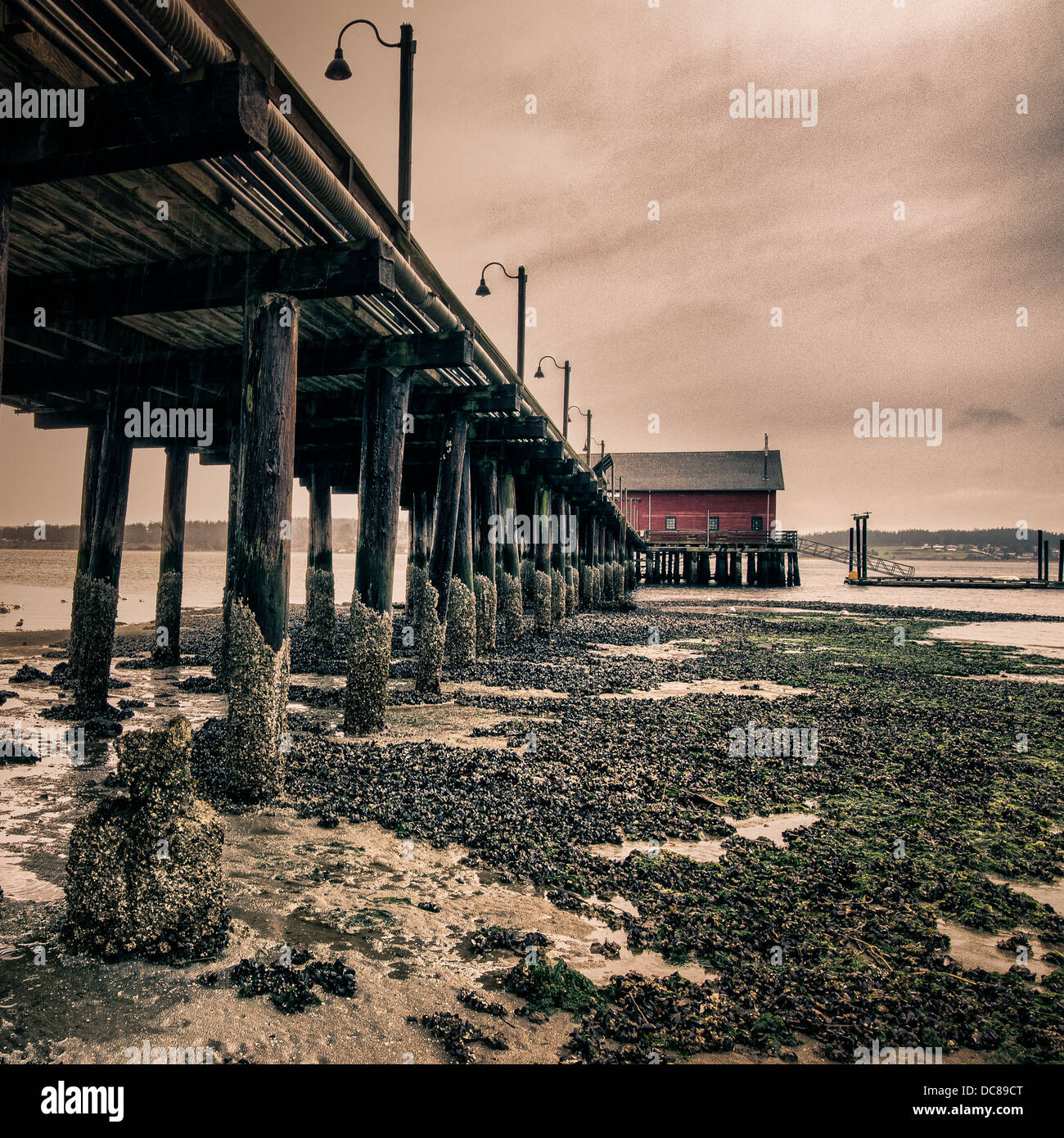 Pier in drizzly weather. Stock Photo