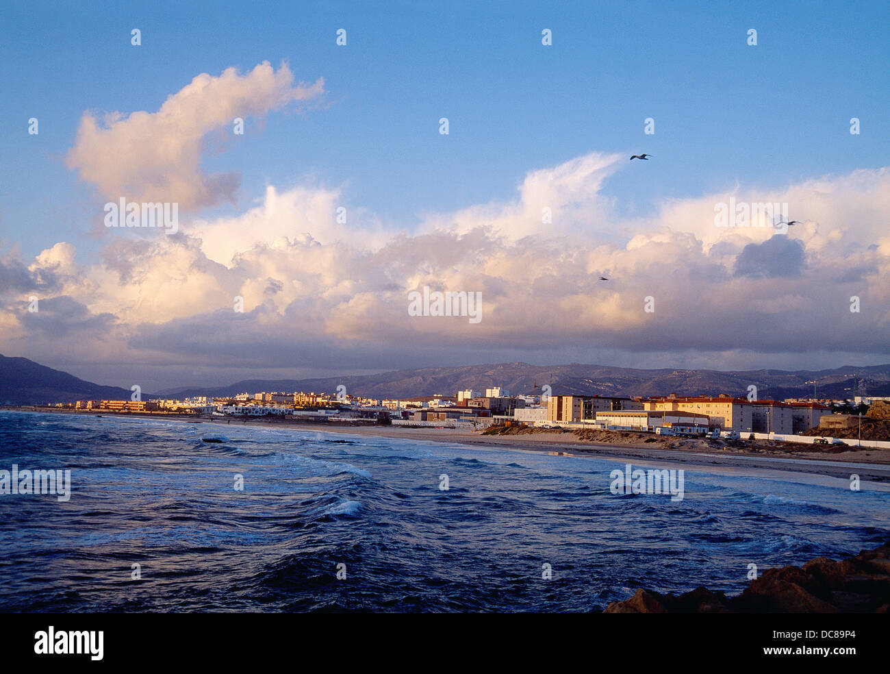 Los Lances beach. Tarifa, Cadiz province, Andalucia, Spain. Stock Photo