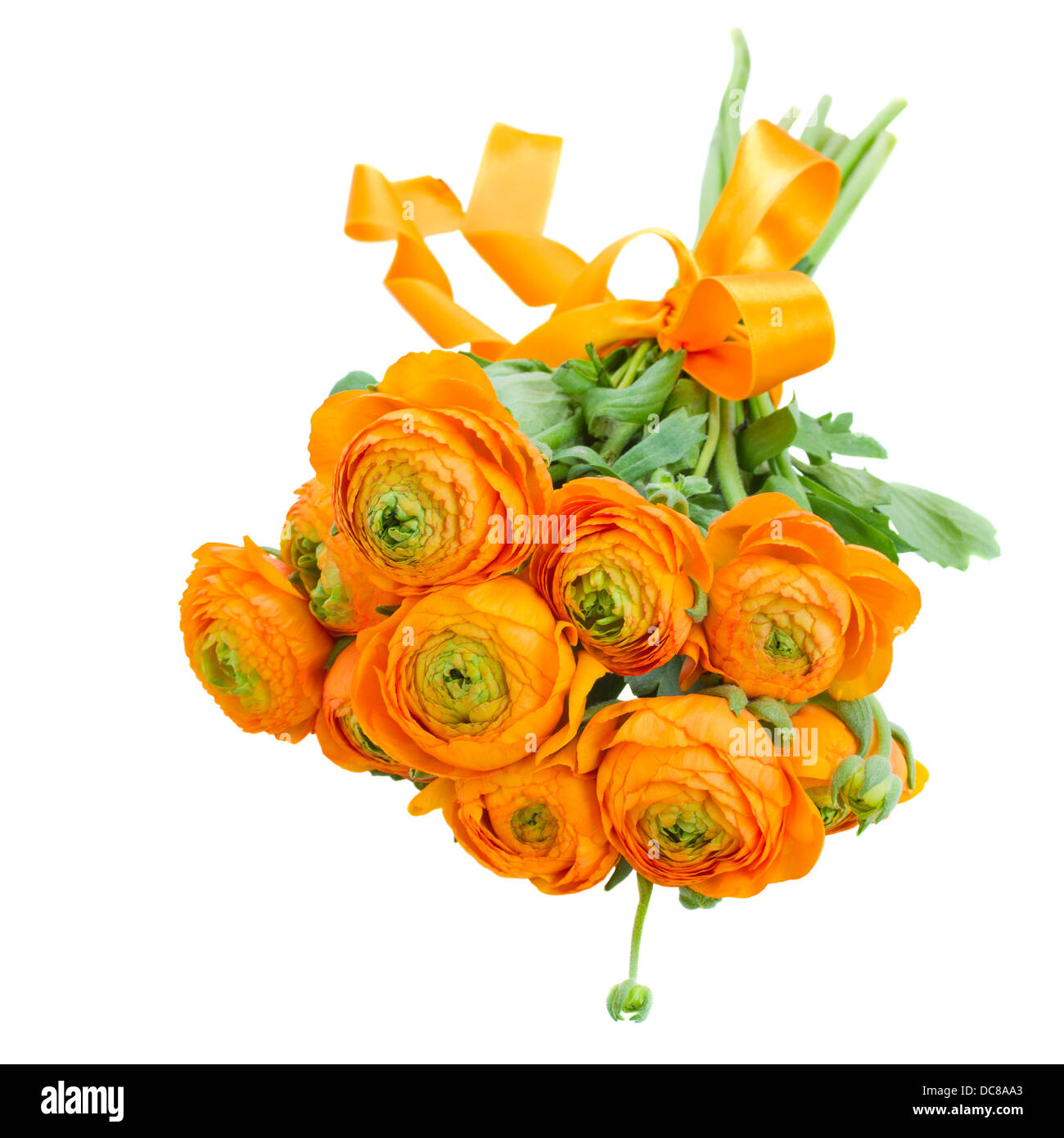 orange ranunculus flowers with ribbon Stock Photo