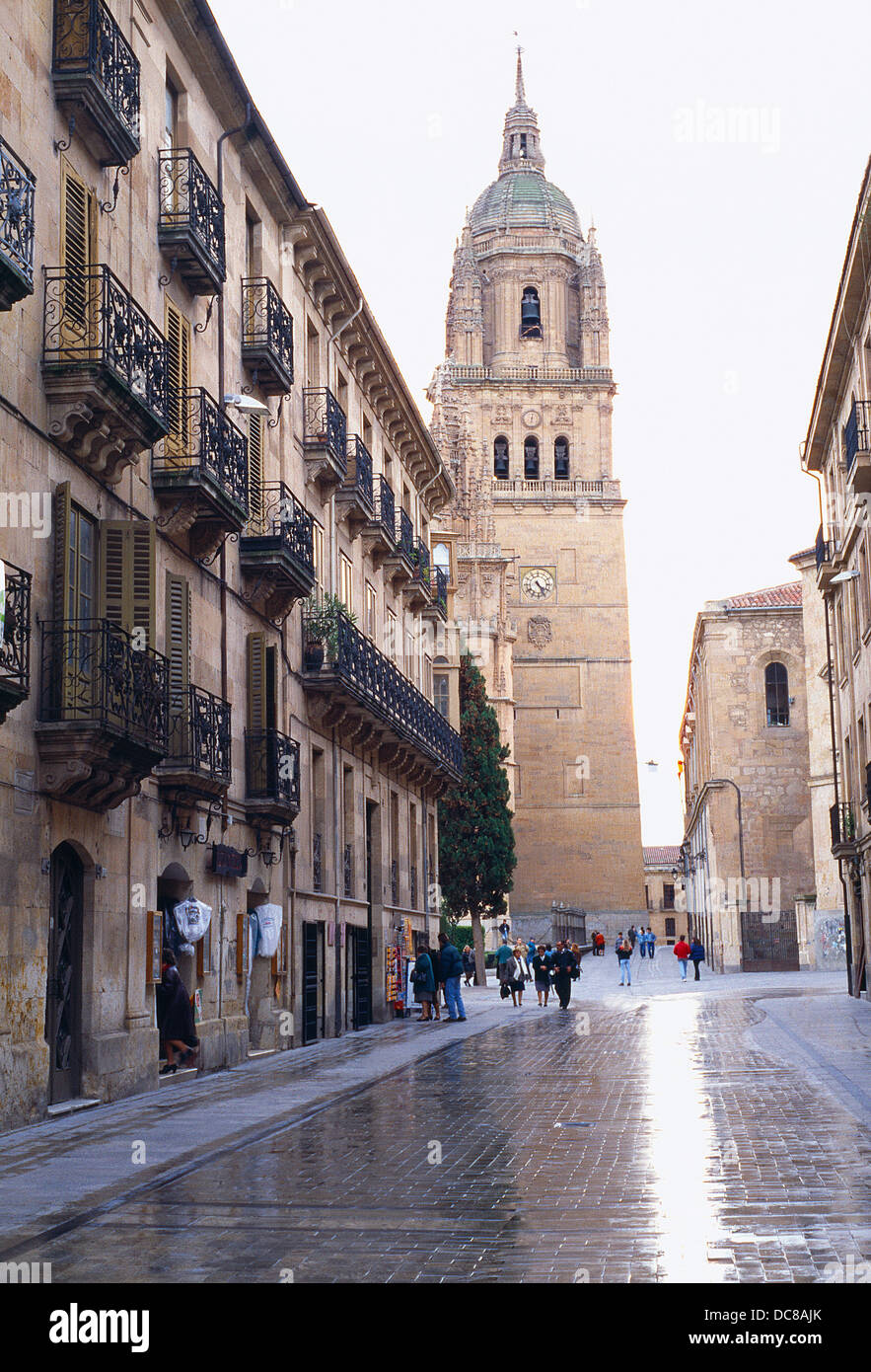 Leon Rua Rua Mayor street and tower of the cathedral. Salamanca, Castilla Leon ...
