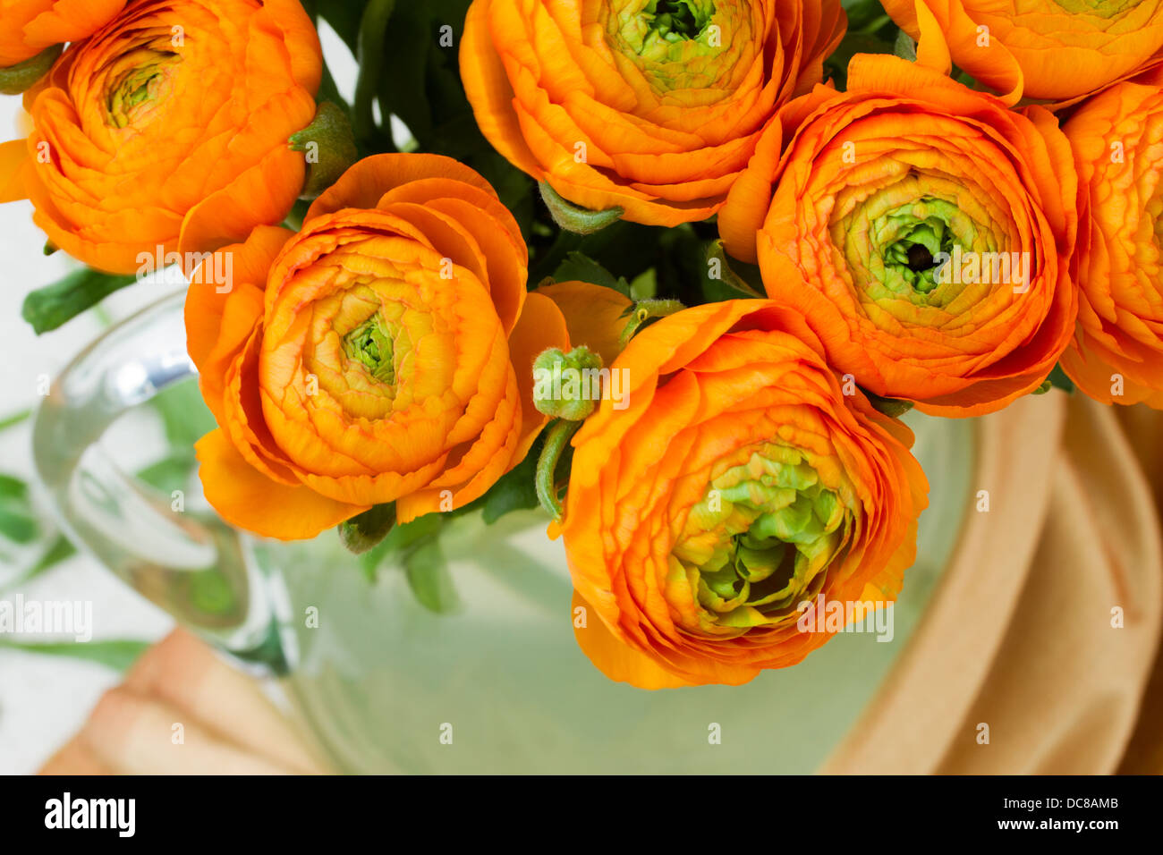 ranunculus bouquet close up Stock Photo Alamy