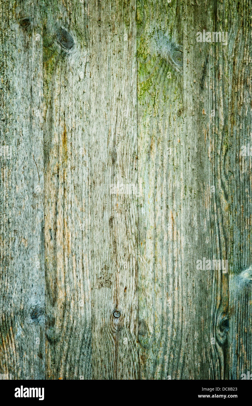 Wood texture, with weathered look, old and Green blue Stock Photo