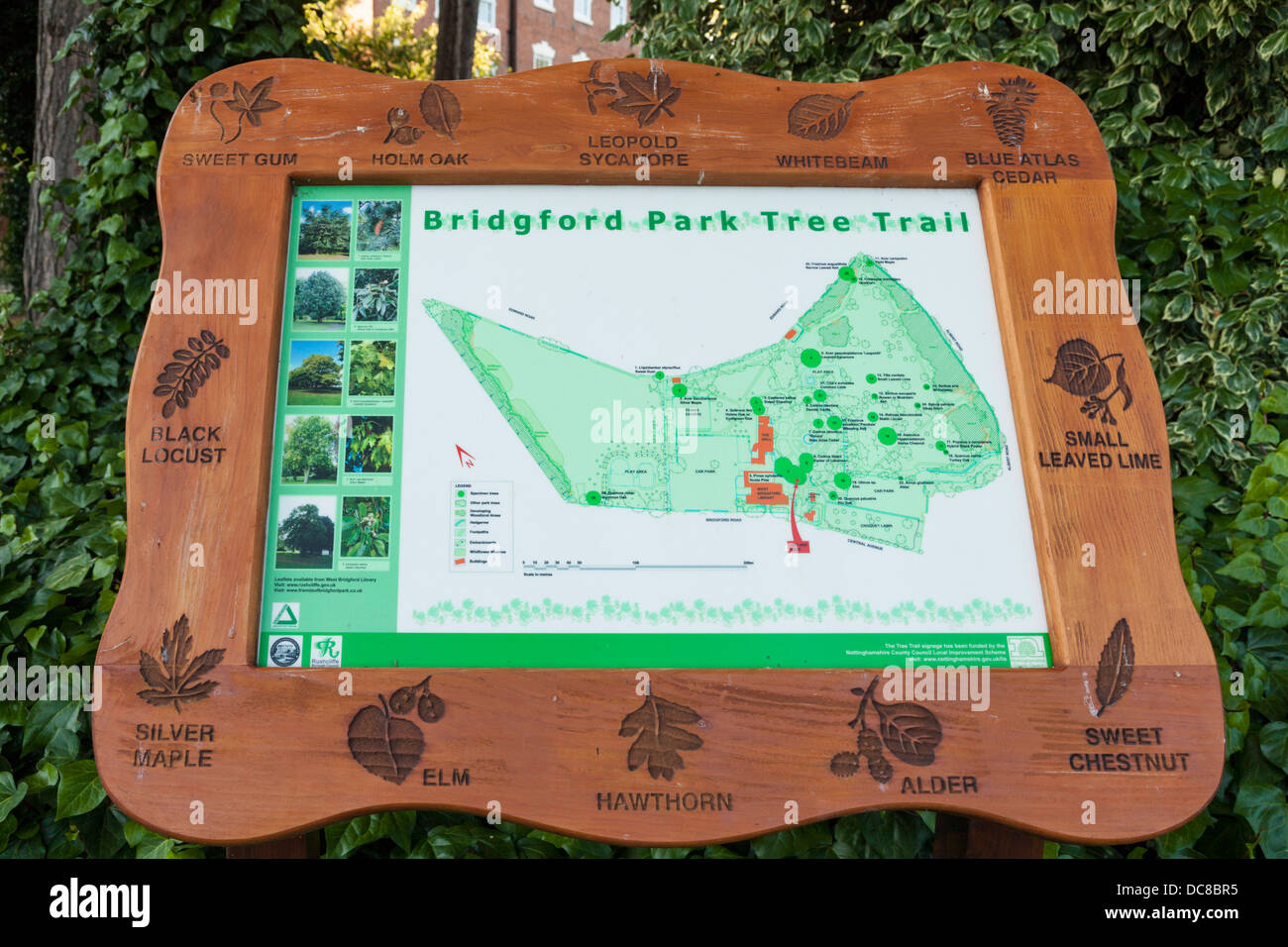 A sign showing a tree trail at Bridgford Park, West Bridgford, Nottinghamshire, England, UK Stock Photo