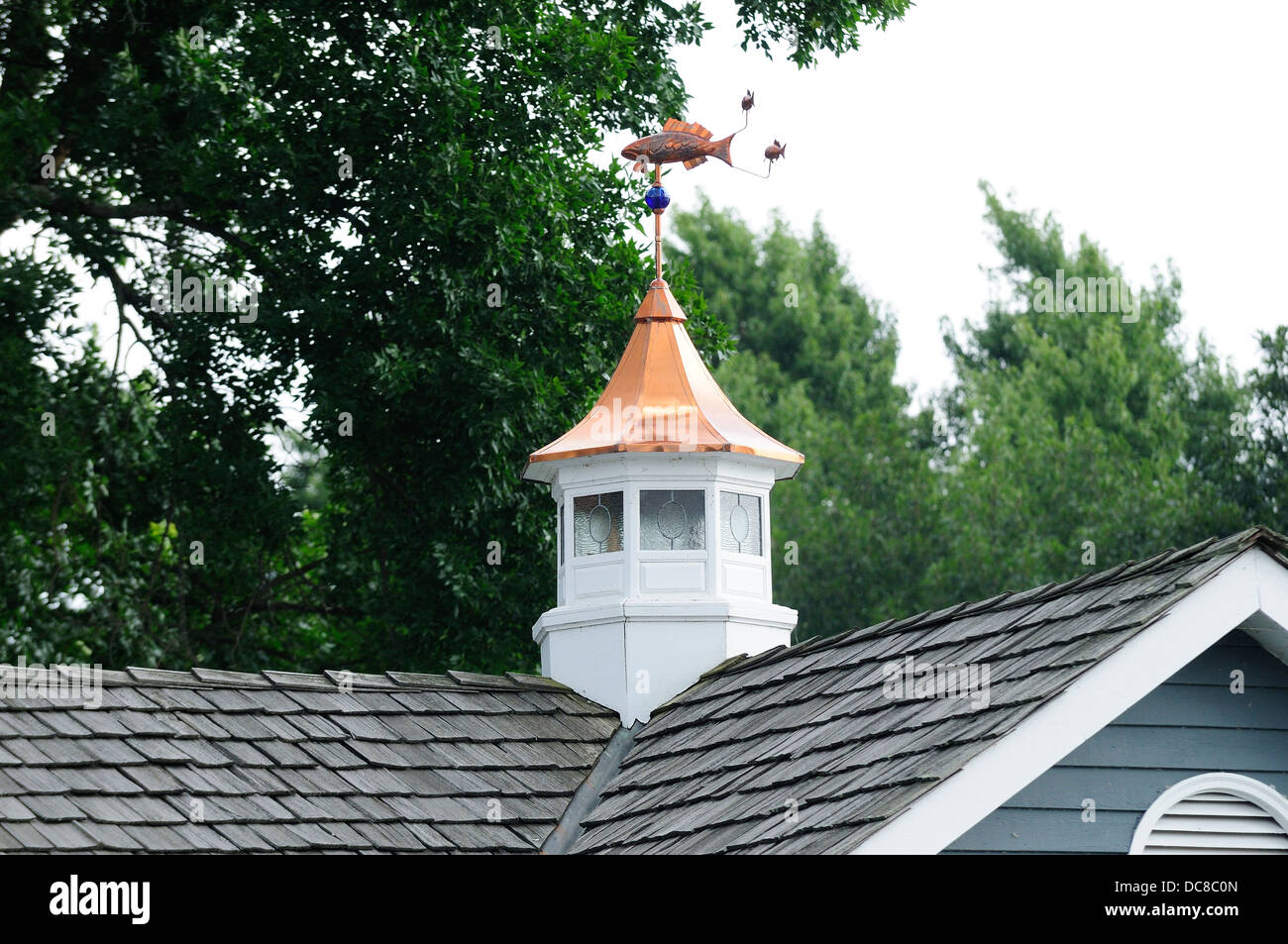 Steeple and weathervane atop boat house. Stock Photo