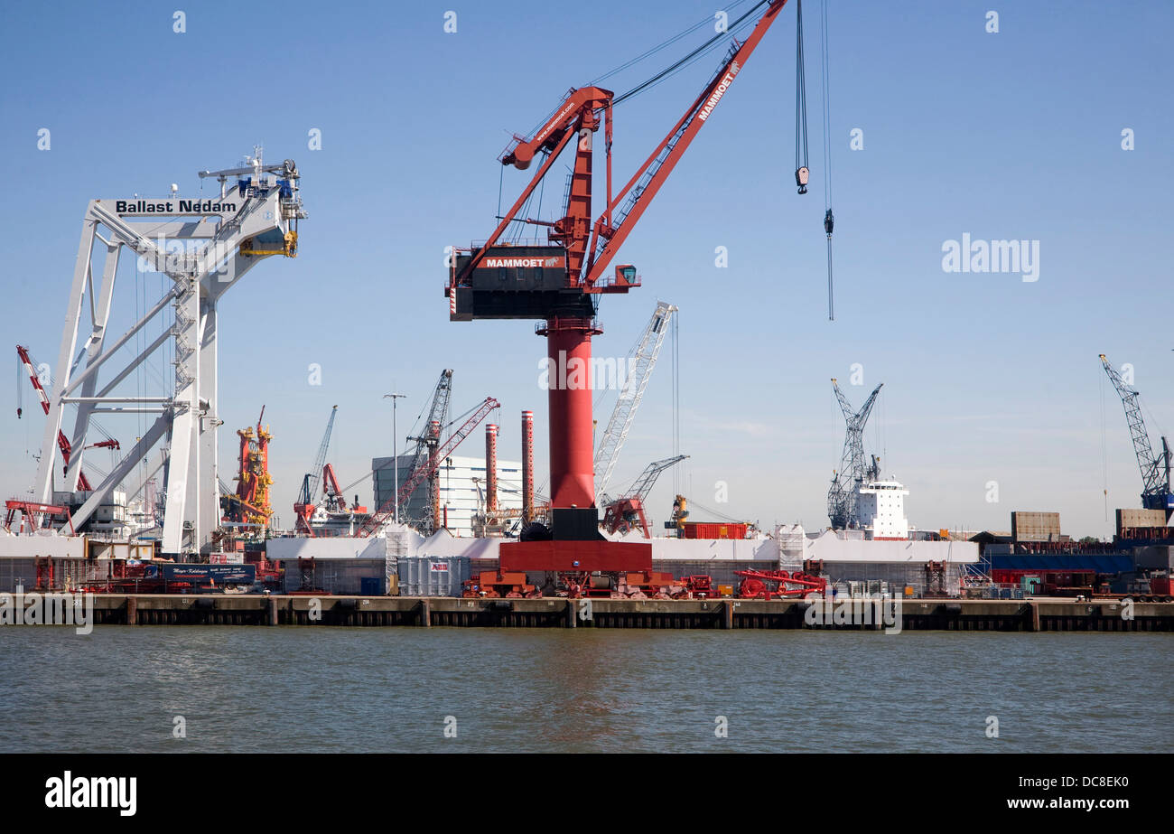 Cranes line waterside wharf Ballast Nedam company Port of Rotterdam