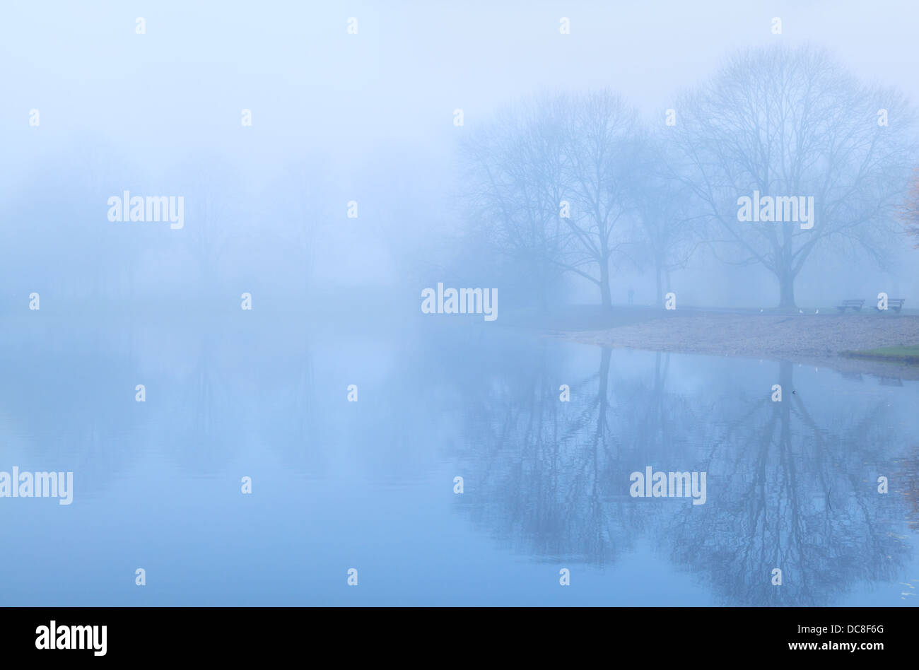 Tree reflection on lake surface hi-res stock photography and images - Alamy