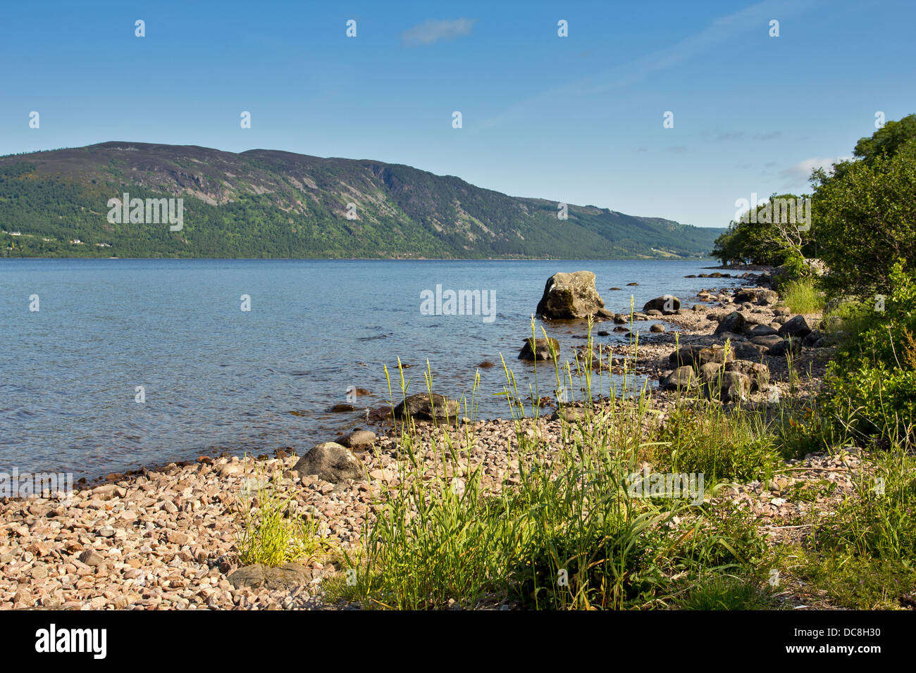 LOCH NESS SCOTLAND SHORE LINE IN EARLY SUMMER LOOKING NORTH TOWARDS LOCHEND AND INVERNESS Stock Photo