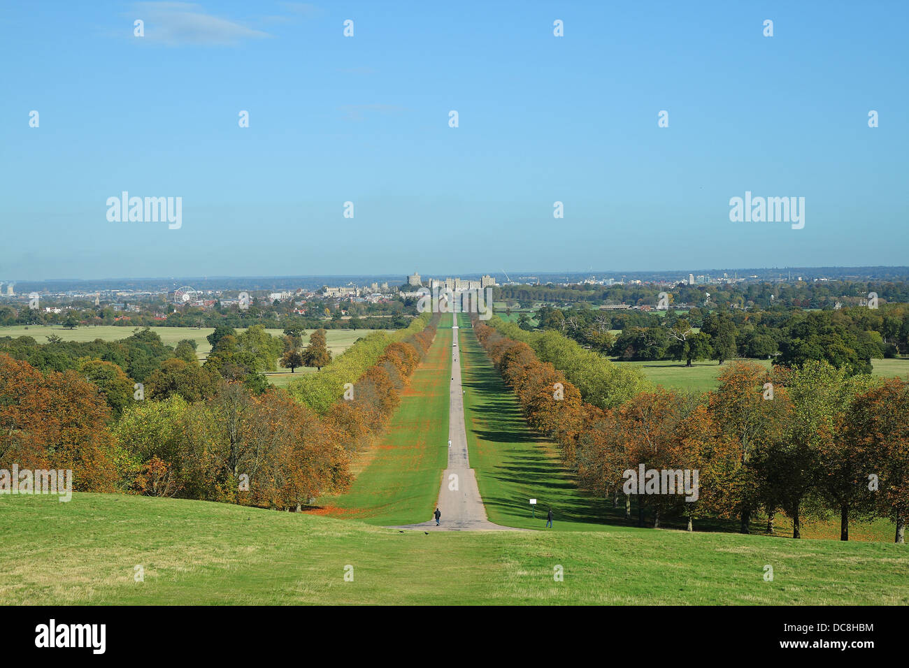 The Long Walk in Windsor Great Park in England with Windsor Castle in the background and trees in Autumnal colours Stock Photo