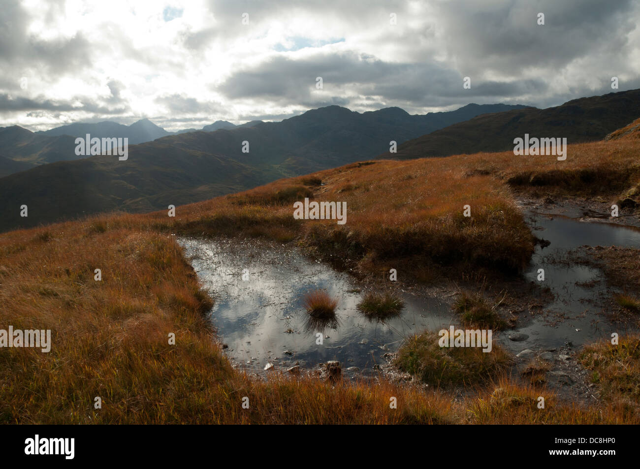 The mountains of Knoydart from the Bac nan Canaichean ridge, Glen Quoich, Highland Region, Scotland, UK Stock Photo