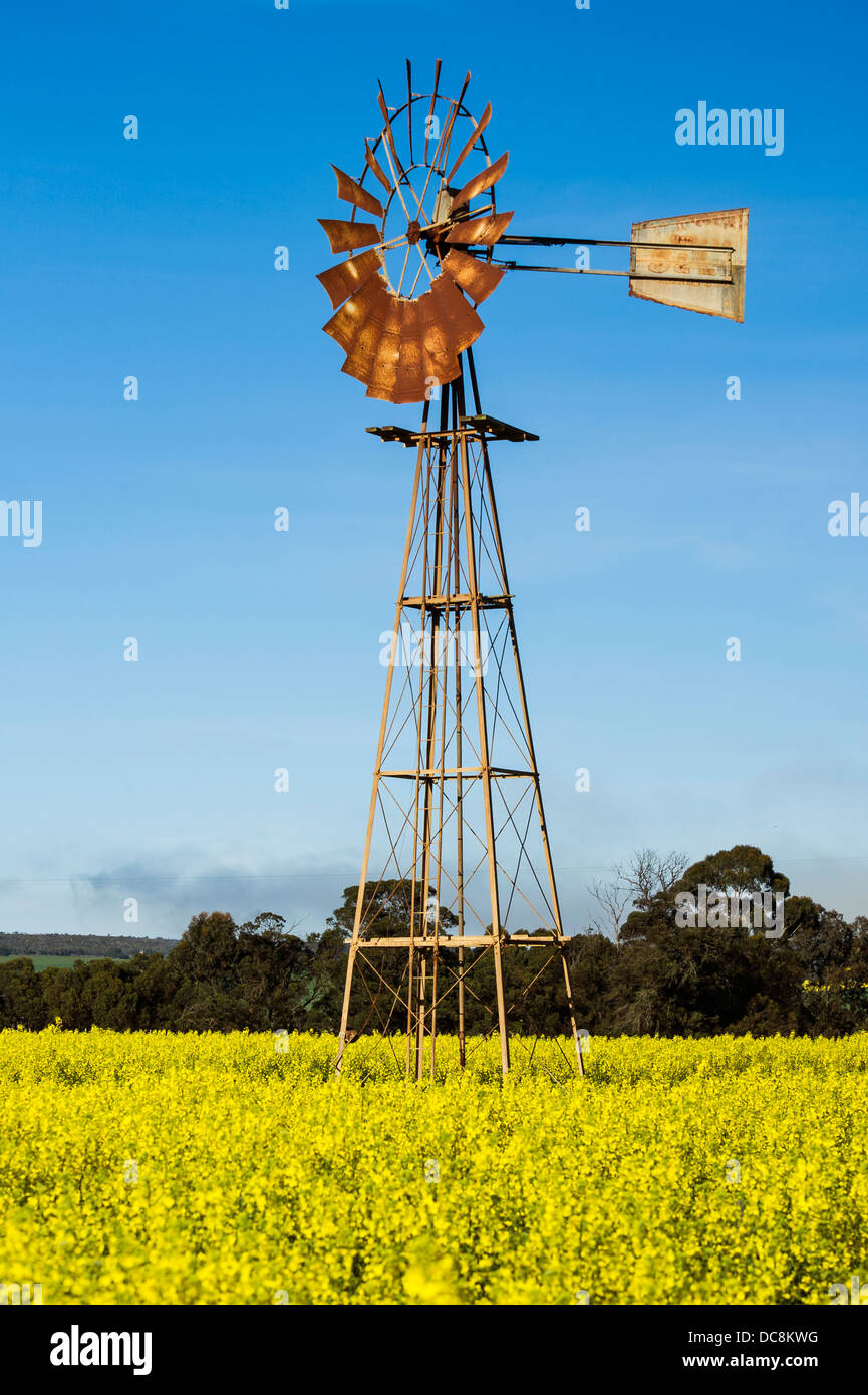 Old windmill in a flowery field Stock Photo