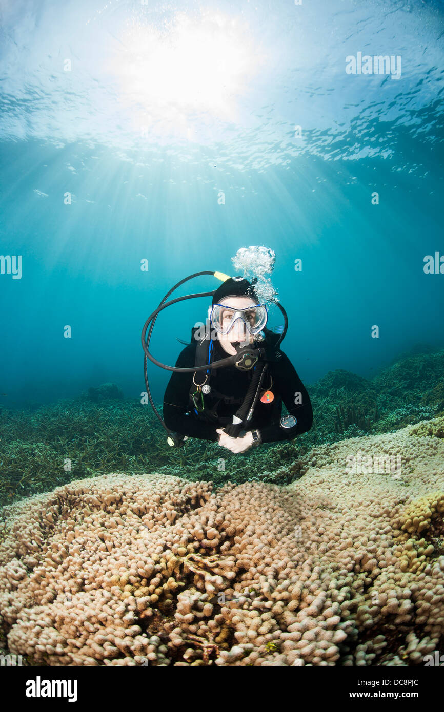 Scuba diver with sunlight above off the island of Roatan, Honduras