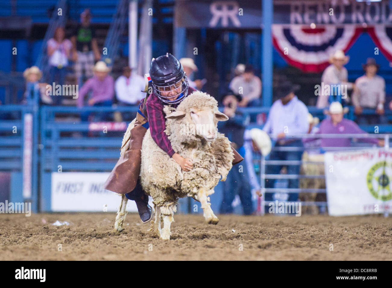 A boy riding on a sheep during a Mutton Busting contest at the Reno