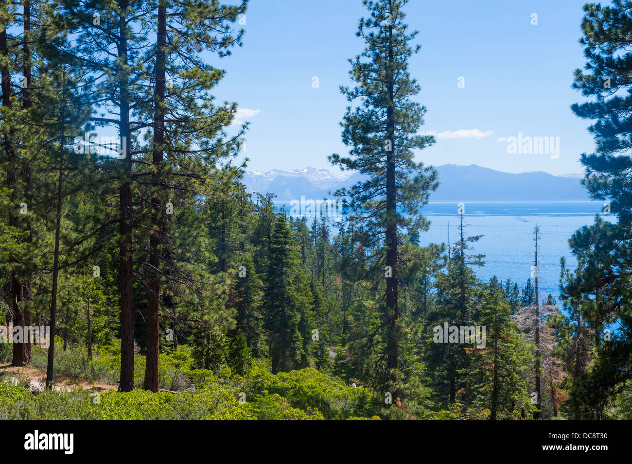 The shore of Lake Tahoe in Northern Nevada Stock Photo Alamy