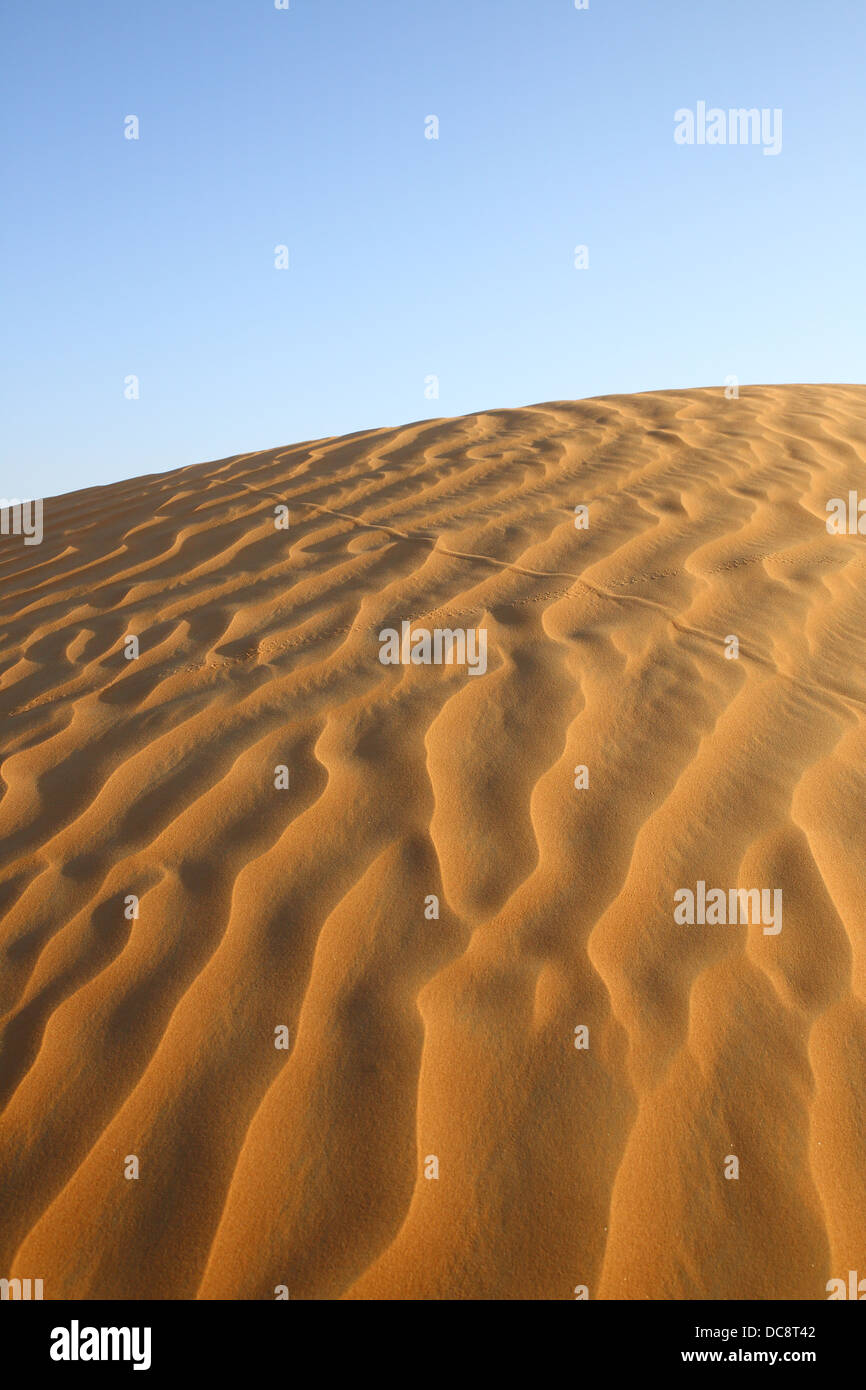 Sand dune in the Arabian desert, Dubai, United Arab EmiratesDubai, United Arab Emirates Stock Photo