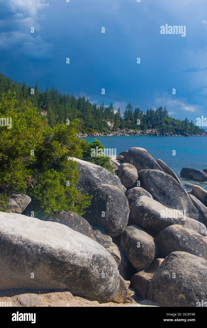 The shore of Lake Tahoe in Northern Nevada Stock Photo Alamy