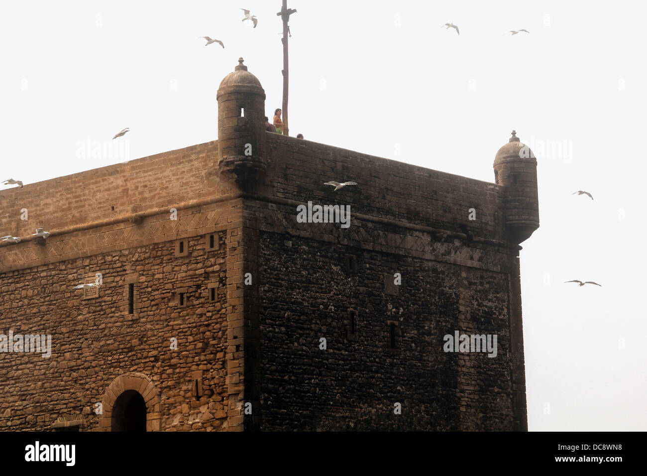 fortress tower in essaouria, morocco with seagulls in storm Stock Photo