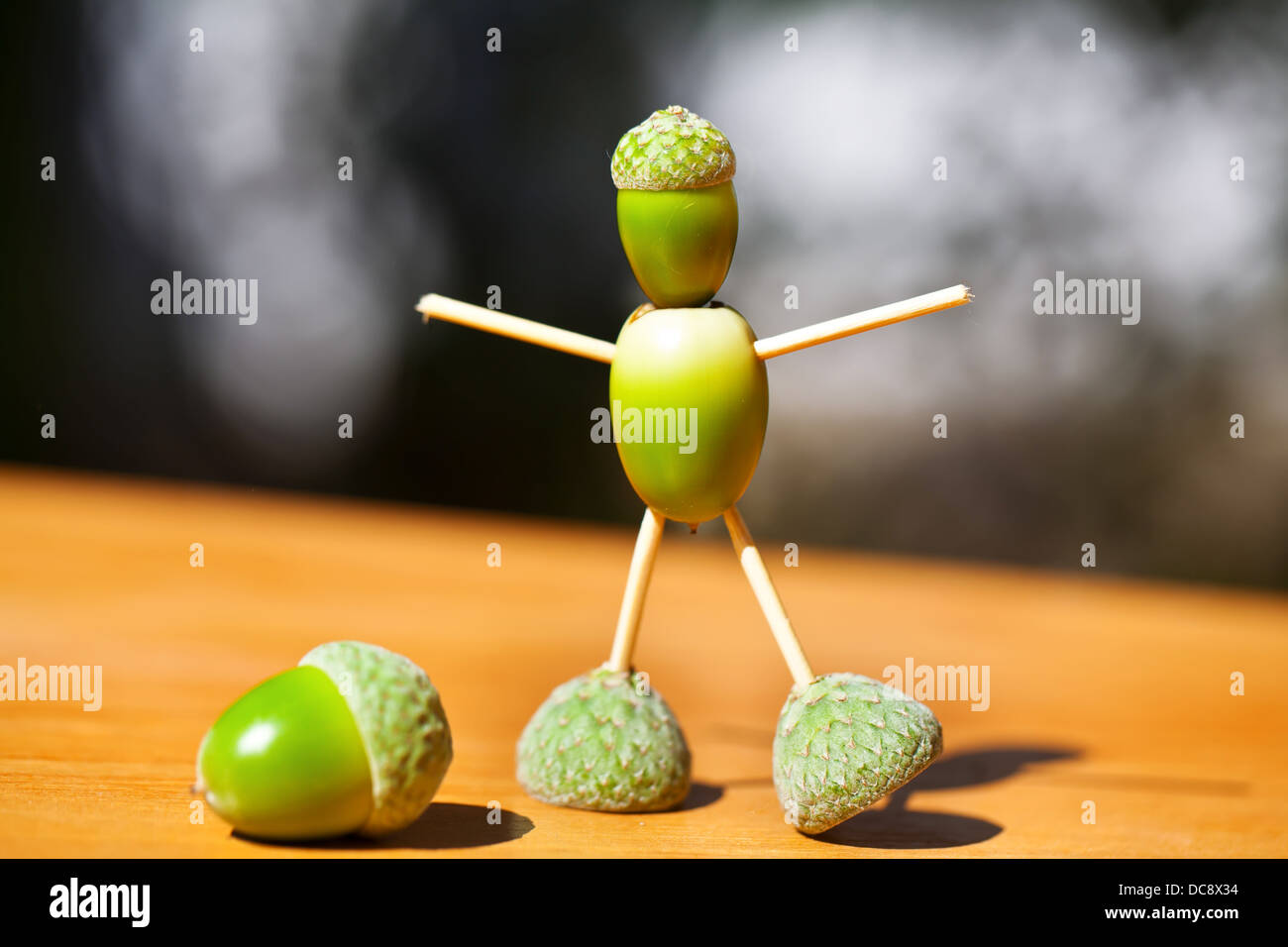 Little man made of green acorns on wood Stock Photo