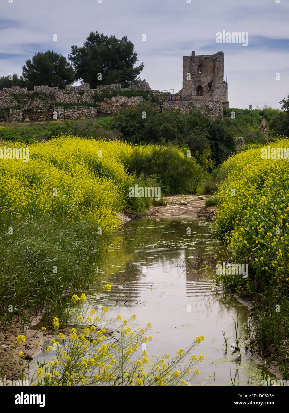 Israel. The ruins of an Ottoman fortress reflect in the Yarkon stream at the Afek park near Tel-Aviv Stock Photo