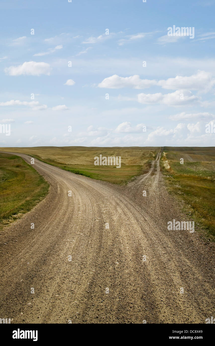 An empty country road between fields, fork in the road; Saskatchewan, Canada Stock Photo