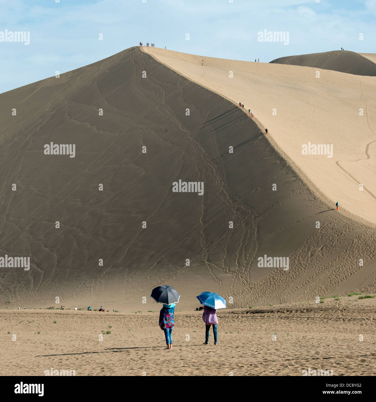 My Image 24