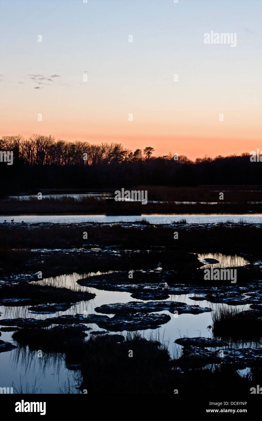 Sunset along Historic Colonial Parkway freshwater marsh. Stock Photo